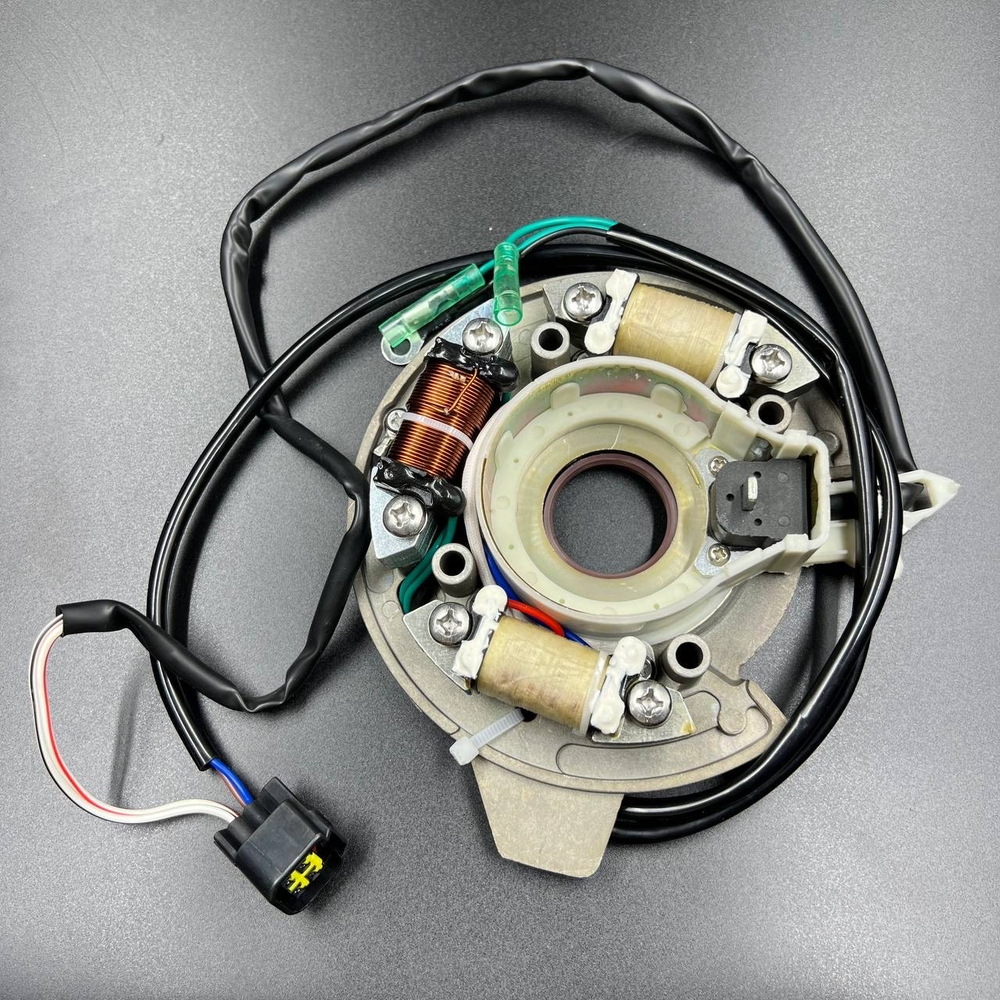 Магнето в сборе с катушкой 12V Yamaha 40X (YUELANG)