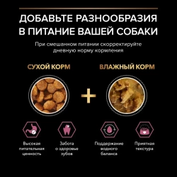 Pro plan adult small&mini sensitive skin сухой корм для собак мелких пород с чувствительной кожей с лососем и рисом - 700 г