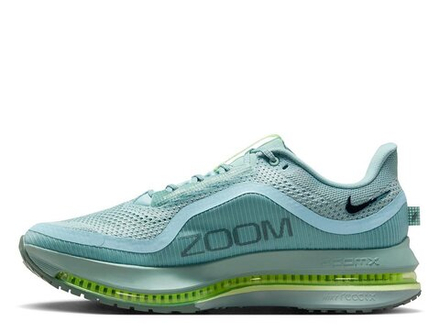 Кроссовки для бега мужские Nike Pegasus Premium M Сине-зелёный