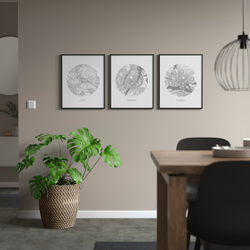 IKEA BILD  (ИКЕА БИЛД)  -  Плакат, план города, Стокгольм, 40x50 см.