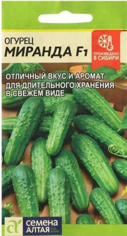 Огурец МИРАНДА F1 цв.пак. 6 шт. Семена Алтая