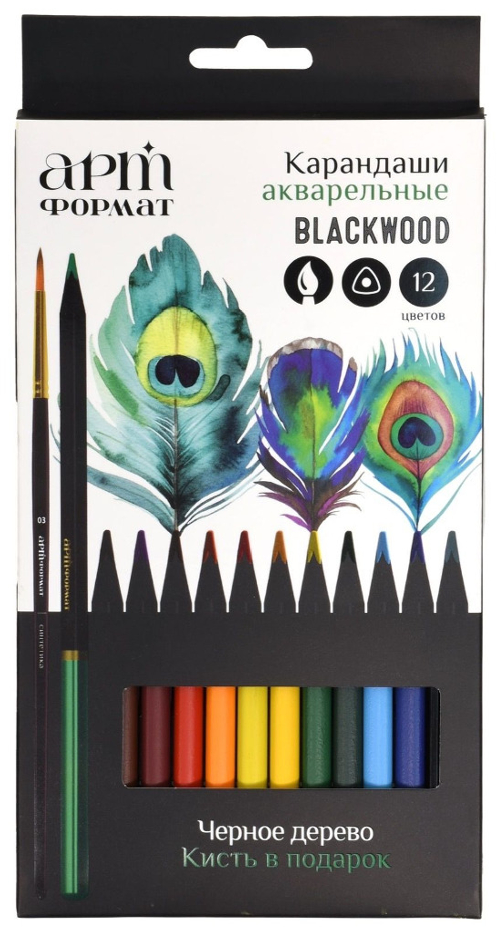 Карандаши акварельные 12 цвета(ов) АРТФОРМАТ Блэквуд (AF03-061-12)