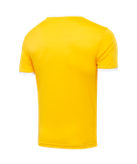 Футболка футбольная CAMP Origin, желтый/белый