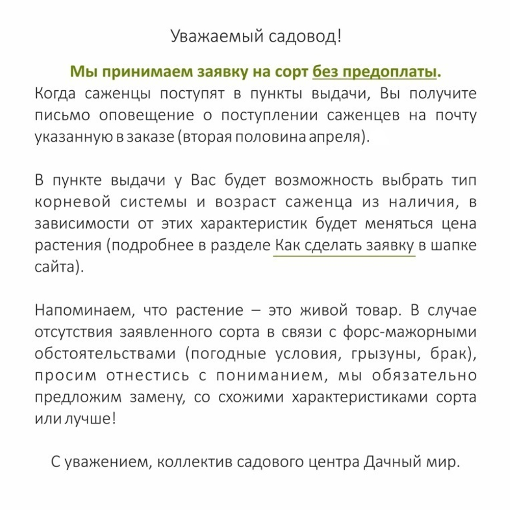Айва японская