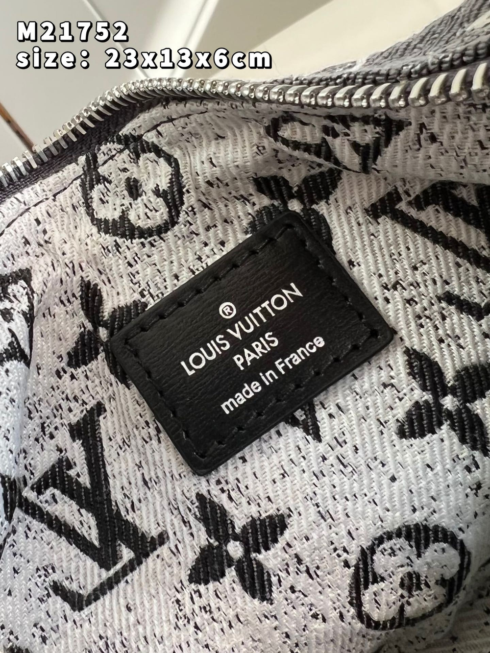 Louis Vuitton Loop Bag