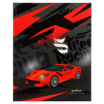 Дневник школьный (5-11) А5 48л. "Городские гонки" (Апплика)