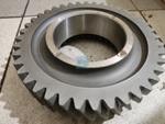 Шестерня первой передачи 40зуб. 238М-1701112