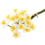 Цветок искусственный «Natur» 50см Нарциссы белые