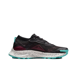 Мужские кроссовки Nike Pegasus Trail 3 Gore-tex 'Black Bright Crimson' DC8793-002