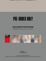 Альбом STRAY KIDS - MAXIDENT CASE Edition RANDOM Version