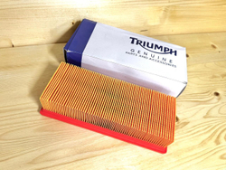 Triumph Фильтр воздушный T2201246