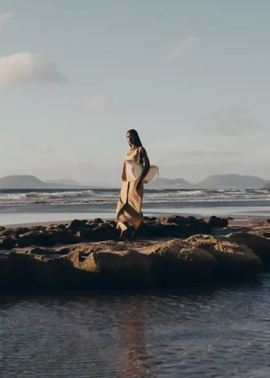 Сумка Polene Cyme