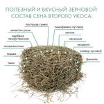 FIORY сено Альпийское Alpiland Yellow с одуванчиком 500 г