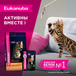Eukanuba Adult Top Condition влажный рацион с говядиной в соусе для взрослых кошек 85г