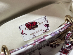Christian Dior Lady D-Joy Bag 22 cm