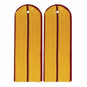 Погоны мет. ФСИН парадные золотые с 1 краповыми просветами (картон)