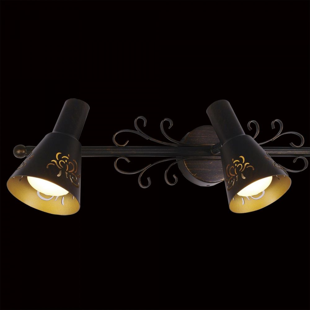 Citilux Дункан CL529531 Спот поворотный Коричневый