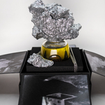 Filippo Sorcinelli Epicentro