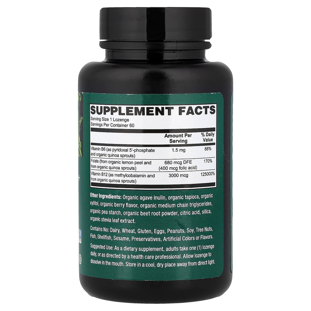 PlantFusion, веганские цельные продукты, органические фолаты и метил B12, со вкусом натуральных ягод, 60 пастилок