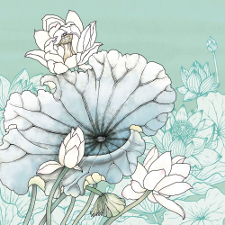 Коллекция Grafika Natura