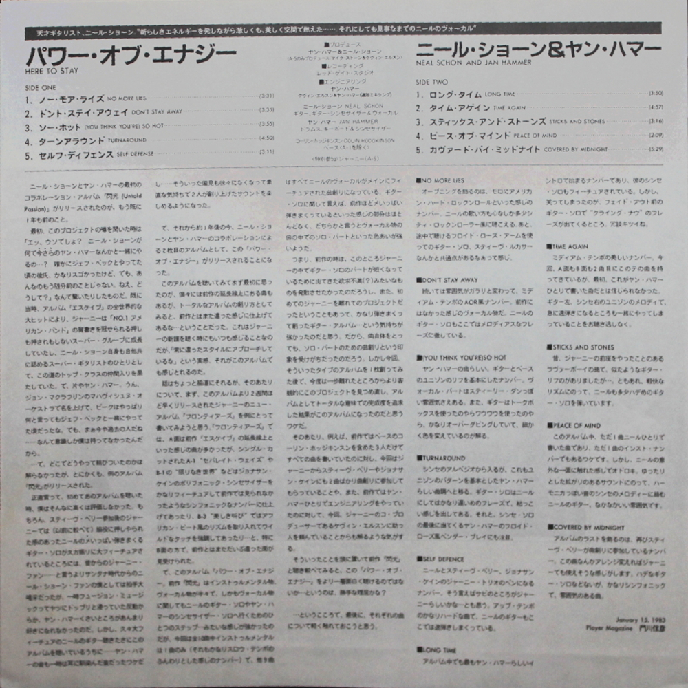 Schon & Hammer / Here To Stay (LP)