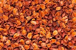 Скорлупа кедрового ореха 500 грамм