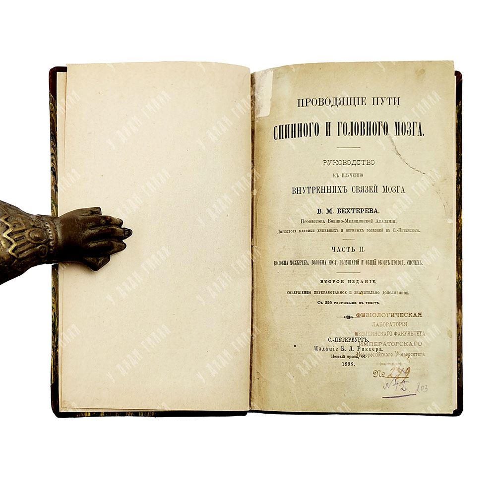 [Прижизненное издание] Бехтерев В. М. Проводящие пути спинного и головного мозга. Ч. 2. 1898