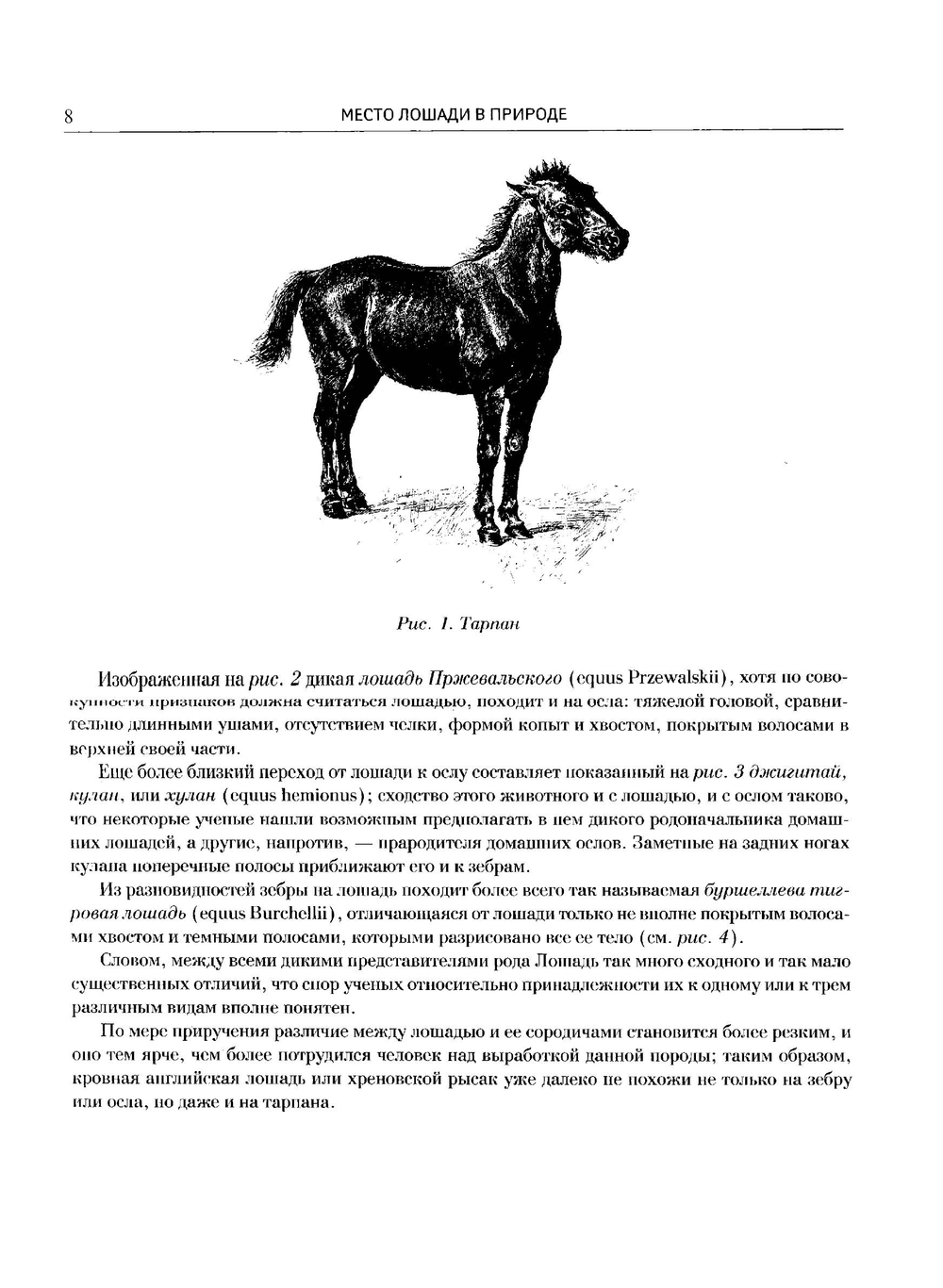 Лошади. Конские породы | Л. Симонов; И. Мердер