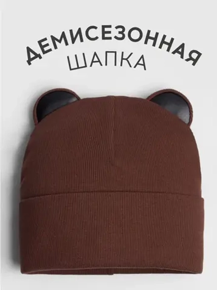 Шапка для мальчика осенняя с ушками