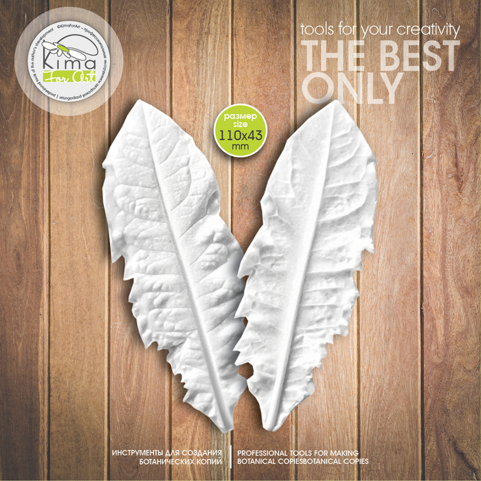 Одуванчик лист широкий