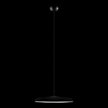 Подвесной светильник LED 24W 3000К 10119 Black чёрный Plato LOFT IT