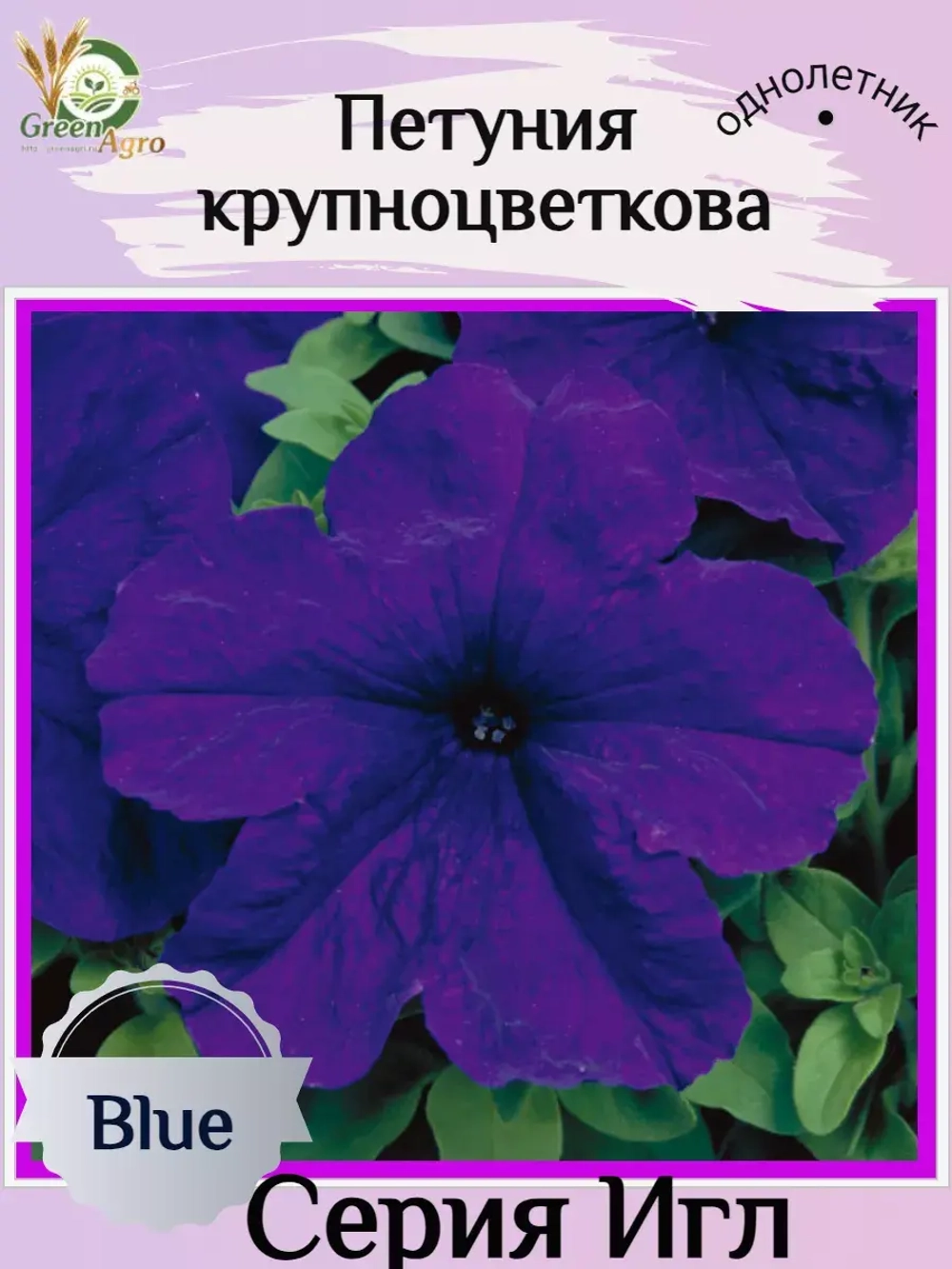 Семена Петуния Крупноцветковая