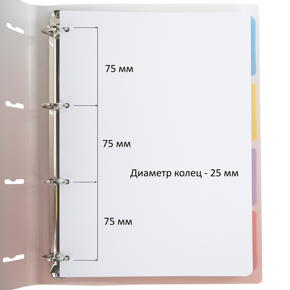 Тетрадь на кольцах БОЛЬШАЯ 305х235 мм А4 120 л. пластик с разделителями BRAUBERG бордовый (2 штуки в упаковке)