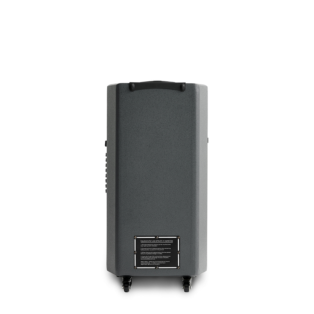 Активная беспроводная АС Eltax Voyager BT15 PRO MKII Black