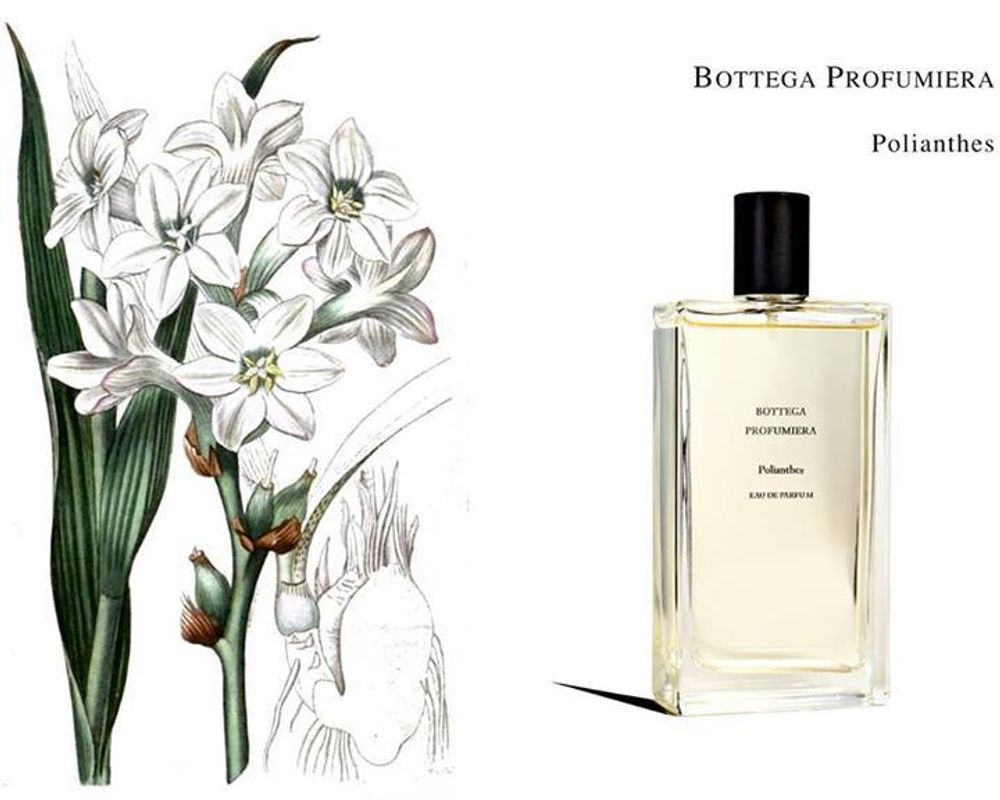 Bottega Profumiera Mon Jardin