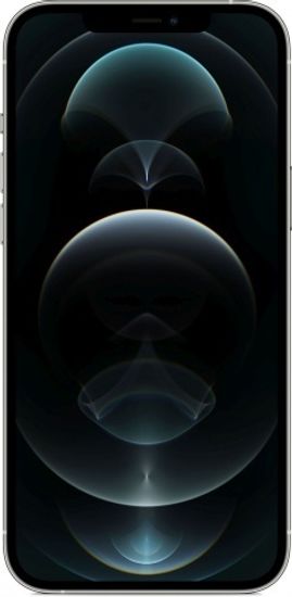Apple iPhone 12 Pro Max 256GB Silver (Серебристый)