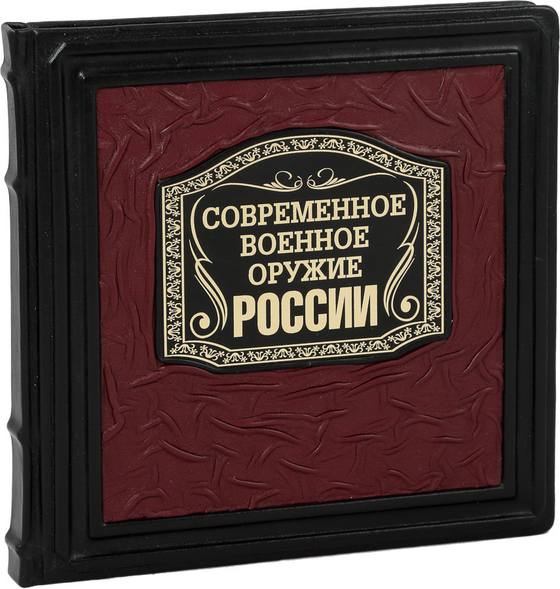 Современное военное оружие России