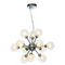 Подвесная люстра Vele Luce Dandelion VL1173L12