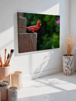 Картина на стену 40 X 50 Красная птица
