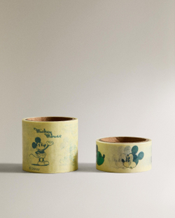 Декоративная клейкая лента Zara Home, разноцветный, 2 шт., 7610/728