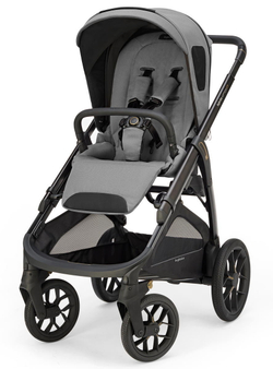 Прогулочная коляска Inglesina Aptica XT 2025 Canyon Grey