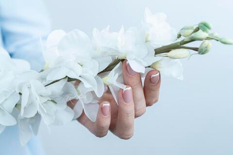 Дельфиниум малый - Белый