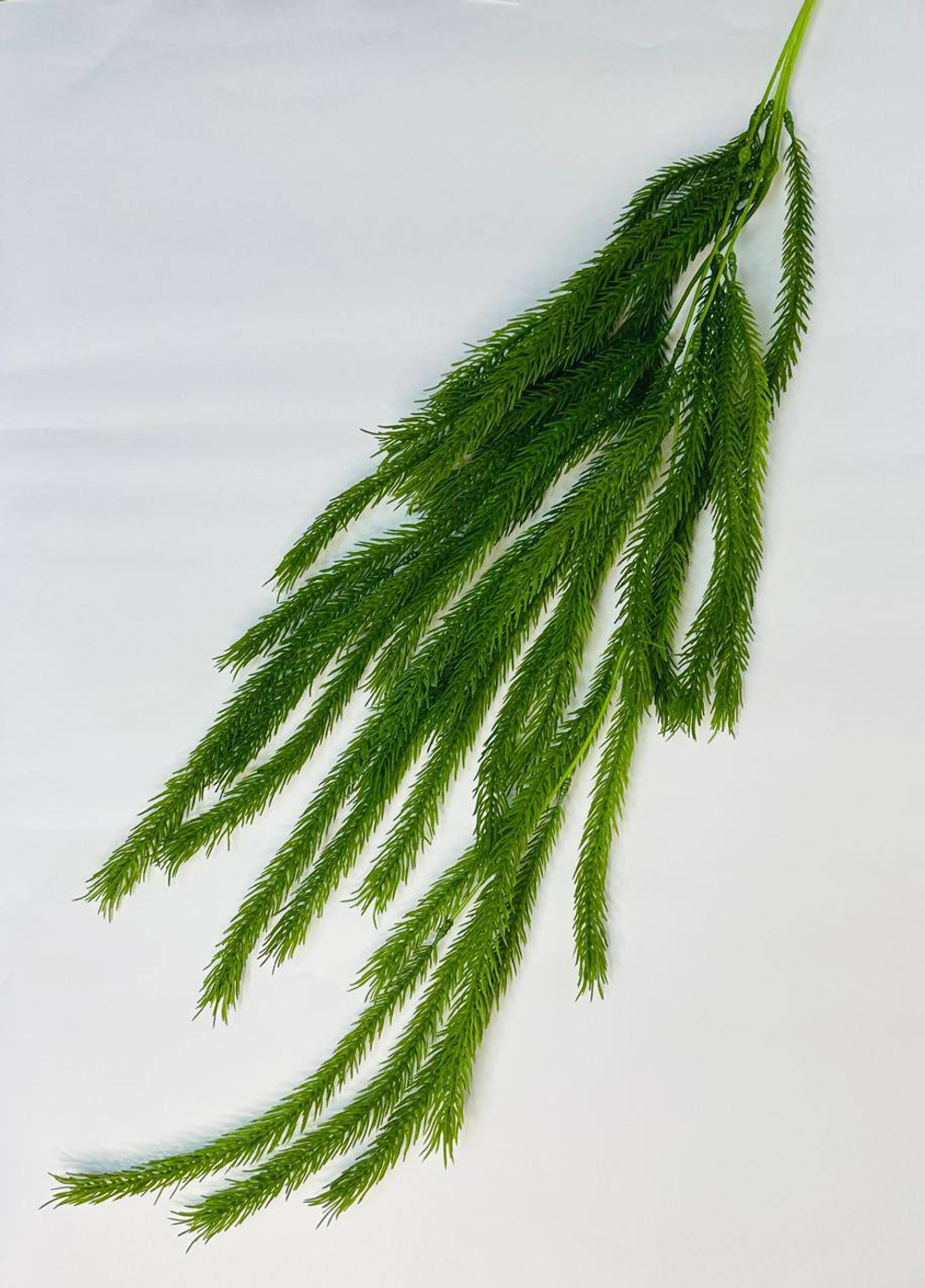 Ель ампельная ветка