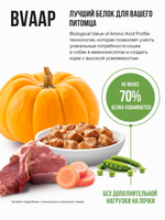 Влажный корм для котят и беременных кошек беззерновой с ягненком и овощами в соусе BOWL WOW 0,085 г. 12 упаковок