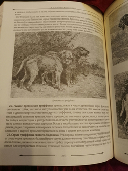 Набор "Охота" подарочный в футляре: книга с бронзовым барельефом "Книга охотника" с бокалами для коньяка