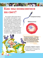 Первая энциклопедия для девочек