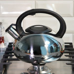 Чайник 2,5л со свистком нерж, индукция, матов/полированный