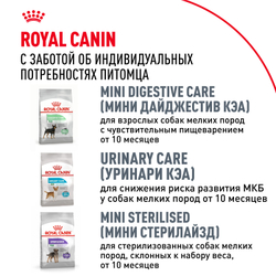 Royal Canin Chihuahua Adult Корм сухой для взрослых собак породы Чихуахуа от 8 месяцев - 1,5 кг