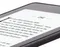 Электронная книга Amazon Kindle PaperWhite 2018 8GB Blue (синий)