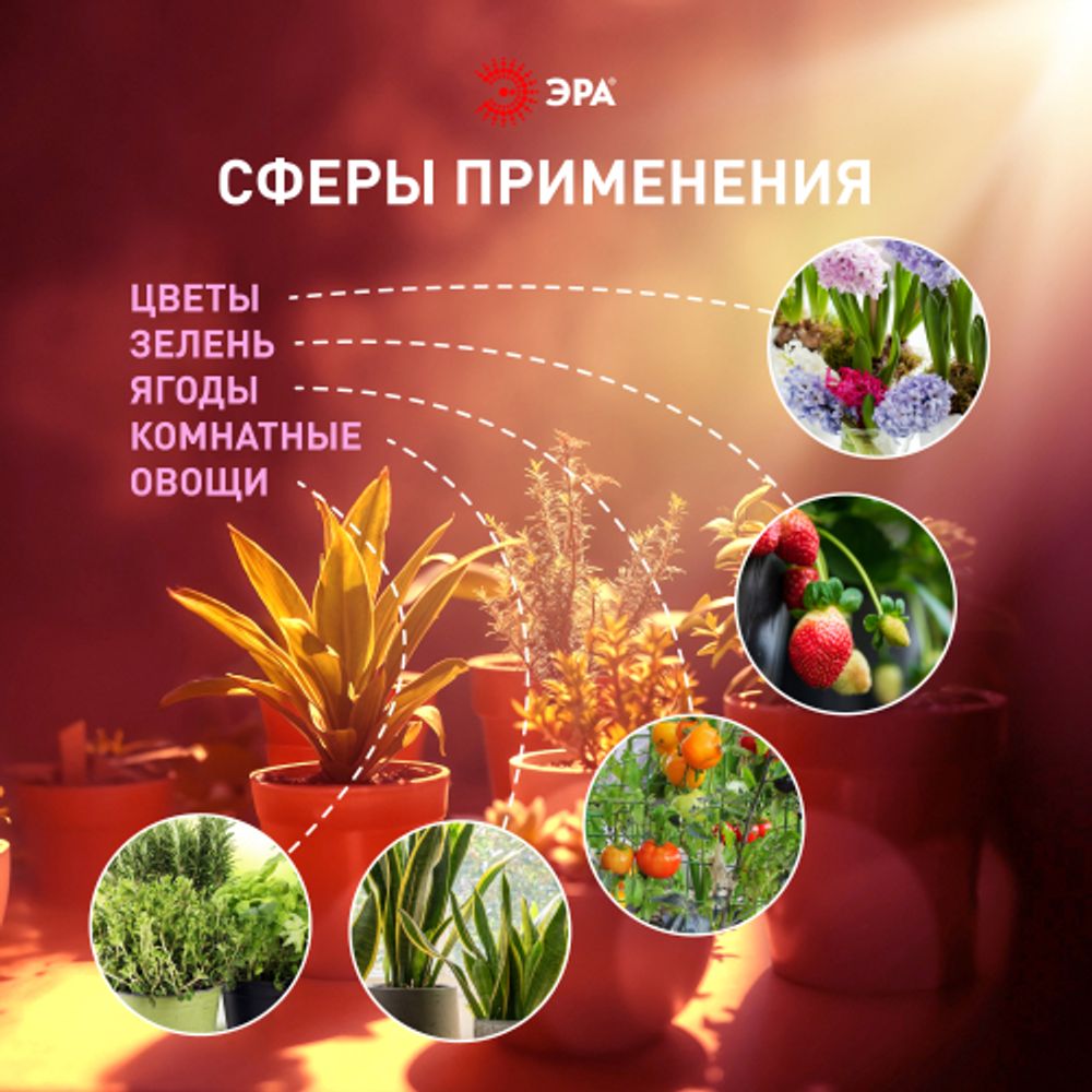 Светильник для растений фитолампа светодиодная линейная ЭРА FITO-18W-Ra90 полного спектра 18 Вт | Линейные фито светильники